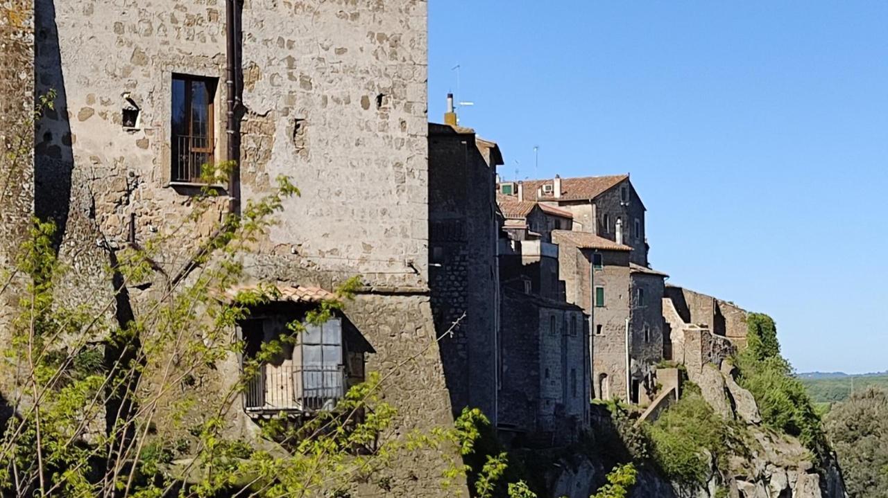 La Chascona Di Farnese Casa Di Tufo Nel Borgo 아파트 외부 사진