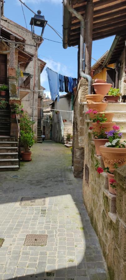 La Chascona Di Farnese Casa Di Tufo Nel Borgo 아파트 외부 사진